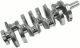 Factory Direct Engine Crankshaft 12627163