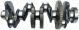 Crankshaft 65.02101.7024 for Doosan Daewoo Engine D1146
