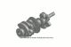 GM Crankshaft 12675630