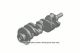 Crankshaft 2022 Chevrolet Silverado 1500 12685650