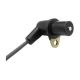 crankshaft-position-sensor-SMW25019-1