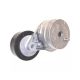 Accessory Drive Belt Tensioner Assembly 059-903-133-BA