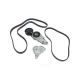 Serpentine Belt Drive Component Kit-Accessory Drive Belt Tensioner Kit