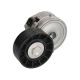 DAYCO Auto belt tensioner FOR Volvo V50 11/09-8/10 2L Turbo Diesel 100kW-D4204T