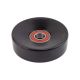 Serpentine Belt Idler Pulley Fits Lexus Toyota
