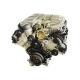 Jaguar Svr Or Sport SVR Supercharged Engine High Output Version