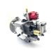 New PT Fuel Injection Pump 4951350 3419493 For Cummins NT855 Diesel Engine