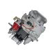Fuel Pump 3165437 Fit for Cummins Engine NT855 C280 Bulldozer D80 Injection Pump