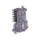 Fuel Injection Pump 3282466 for Cummins 6C8.3 C8.3 C Series Engine