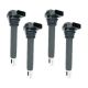 ignition-coils-0221604115-0