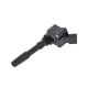 Coil For Audi /A3 A6 A7 A8 Q3 Q5 Q7 Q8 RS4 RS5 RS6 S3 S4 S5