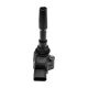 ignition-coils-079905110N-0