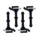 ignition-coils-10130332010000-1