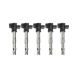 Set of 5 Coils for A8 Quattro Q3 Volkswagen Eos