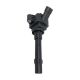 ignition-coils-2036007300-0