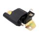 ignition-coils-22433-18R10-1