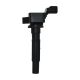 ignition-coils-24105479-0