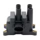 ignition-coils-988F-12024-AB-1