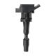 ignition-coils-DELPHI GN10290-0