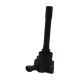 ignition-coils-F01R00A136-0