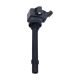 ignition-coils-F01R00A166-1