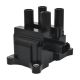 ignition-coils-L813-18-100-0
