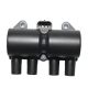 ignition-coils-SMW250131-1