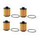 oil-filter-1612565980-0