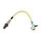 oxygen-sensor-12616202-1