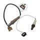 oxygen-sensor-226A03TA0B-11
