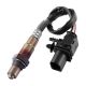 oxygen-sensor-2344203-1