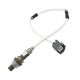 oxygen-sensor-36531PLR003-0