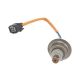 oxygen-sensor-36531RNAJ01-0