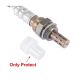 oxygen-sensor-56028996AA-13