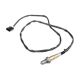 oxygen-sensor-95860613710-1