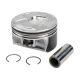 piston-12616971-1