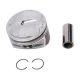 piston-12631195-1