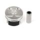 piston-13010-RCA-A00-2