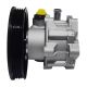 power-steering-pump-1025300GG010-0
