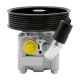 power-steering-pump-4910067J00-0