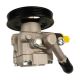 power-steering-pump-49110-0M000-0
