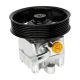 power-steering-pump-49110-1AA0A-1