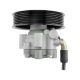 power-steering-pump-491100100R-2