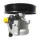 power-steering-pump-491105900R-0