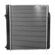 radiators-1265003503-0