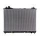 radiators-1770066J00-1