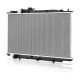 radiators-19010-RCA-A52-1