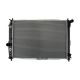radiators-96443479-0