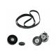 49FS84R Accessory Drive Serpentine Belt Drive Component Kit Fits Audi A4 Quattro
