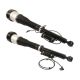 shock-absorber-2213201438-1